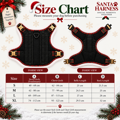 Santa Harness