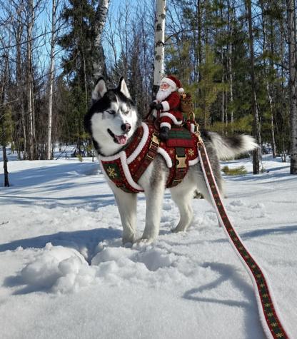 Santa Harness
